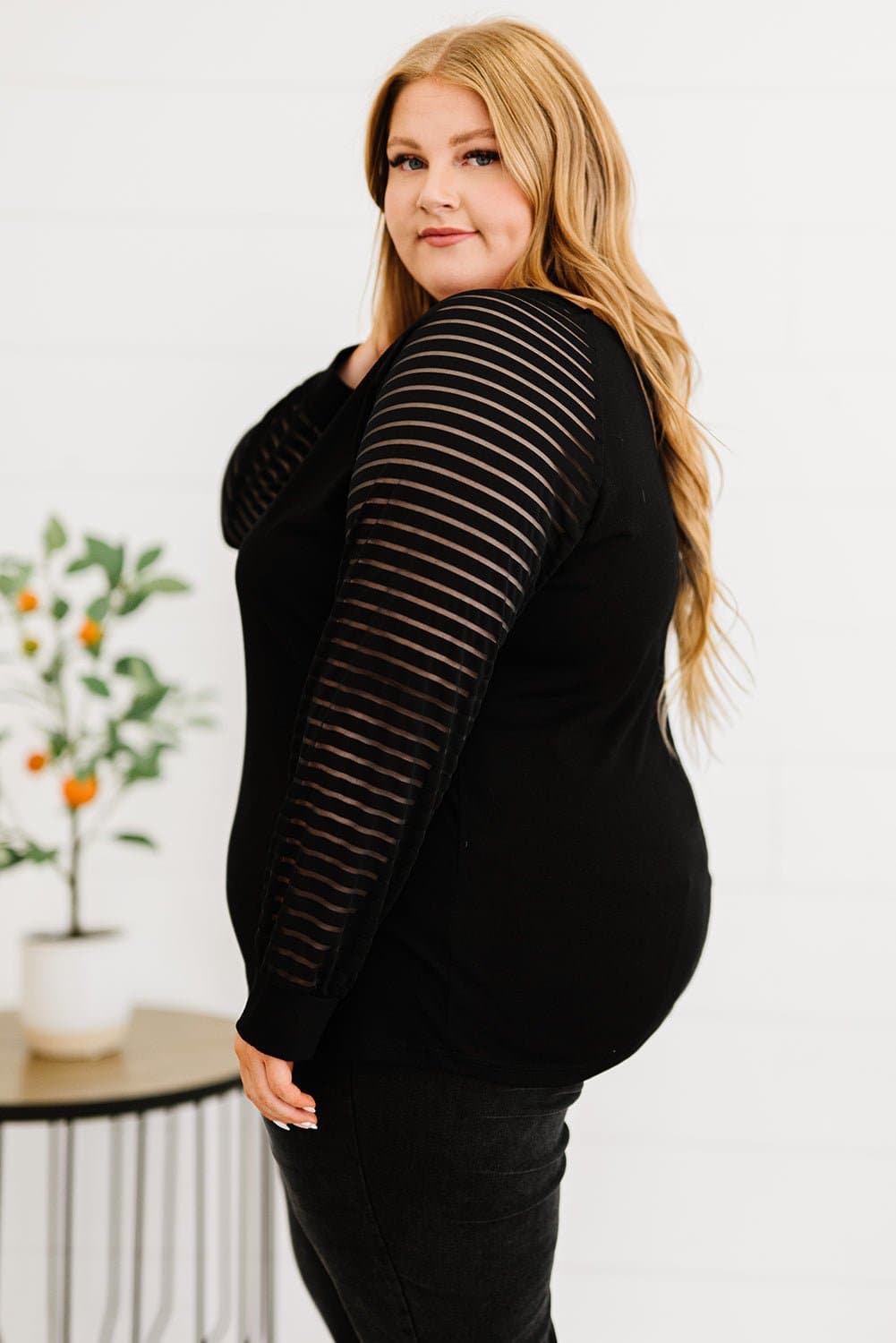 Plus Size Sheer Striped Sleeve V-Neck Top - Love culture store